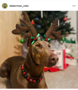 Christmas Glam Bead Collar