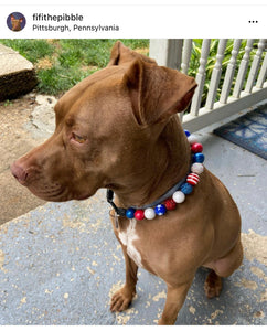 Americana Glam Bead Collar