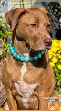 Load image into Gallery viewer, Glacial Glitter Bead Collar