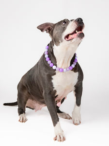 Purple Dream Bead Collar