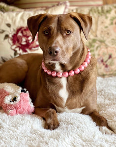 Bubblegum Pink Pearl Acrylic Bead Collar