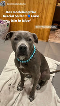 Load image into Gallery viewer, Glacial Glitter Bead Collar