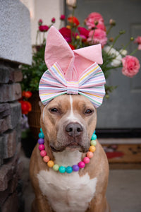 Boho Rainbow Acrylic Bead Collar