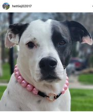 Load image into Gallery viewer, Bubblegum Pink Pearl Acrylic Bead Collar