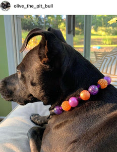 Spellbound Bead Collar