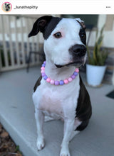 Load image into Gallery viewer, 🟧 18&quot; Slip On (Rose Gold O-Ring) Pretty Princess Acrylic Bead Collar - PRE-MADE/FINAL SALE