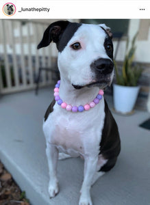 🟧 18" Slip On (Rose Gold O-Ring) Pretty Princess Acrylic Bead Collar - PRE-MADE/FINAL SALE