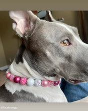 Load image into Gallery viewer, Pink Gradient Glitz Bead Collar