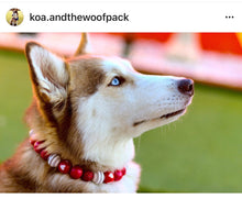 Load image into Gallery viewer, 🟧 21" Slip On (Black O-Ring) Valentine's Signature Bead Collar - PRE-MADE/FINAL SALE