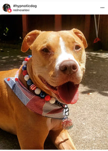 Americana Glam Bead Collar