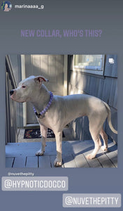 Lavender Rain Acrylic Bead Collar [Scuffed]