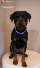 Load image into Gallery viewer, Purple Ombre Acrylic Bead Collar