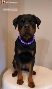 Purple Ombre Acrylic Bead Collar