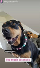 Load image into Gallery viewer, 🟧 19.5&quot; Slip On (Black O-Ring) Cotton Candy Skull Bead Collar - PRE-MADE/FINAL SALE