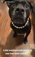 Load image into Gallery viewer, Pop the Bubbly 🥂 Bead Collar