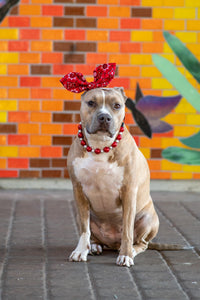 Santa Baby Bead Collar