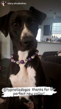 Load image into Gallery viewer, Purple Skull Candy Bead Collar