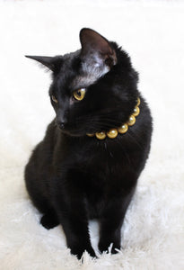 Mini Golden Yellow Pearl [Small Dog/Cat Bead Collar]