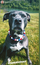 Load image into Gallery viewer, Americana Glam Bead Collar