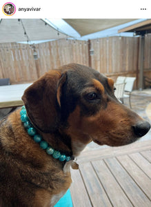Glacial Glitter Bead Collar