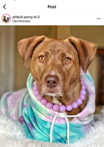 Lilac Acrylic Bead Collar