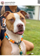 Load image into Gallery viewer, Orange Skyline Acrylic Bead Collar