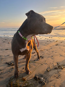 Watermelon Sugar Bead Collar