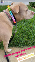 Load image into Gallery viewer, Mystery Rainbow &#39;Almost Perfect&#39; Wooden Bead Collar - FINAL SALE