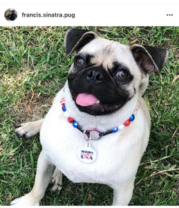 Americana Glam MINI [Small Dog/Cat Bead Collar]