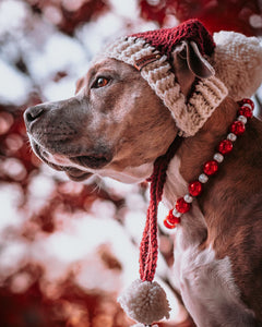 Santa Baby Bead Collar