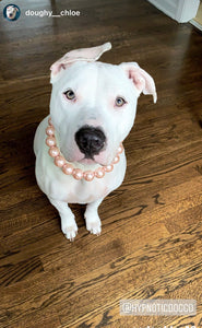 Chunky Blush Pink Pearls Acrylic Bead Collar