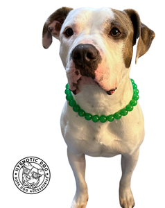 Irish Green Acrylic Bead Collar