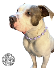Load image into Gallery viewer, Lavender Stars Bead Collar
