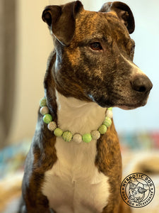 Melon Glitz Bead Collar