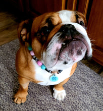 Load image into Gallery viewer, 🟧 19.5&quot; Slip On (Black O-Ring) Cotton Candy Skull Bead Collar - PRE-MADE/FINAL SALE