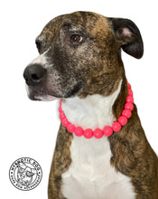 Load image into Gallery viewer, Neon Coral Acrylic Bead Collar