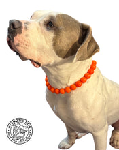 Load image into Gallery viewer, Neon Hot Orange Acrylic Bead Collar