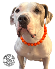Load image into Gallery viewer, Neon Hot Orange Acrylic Bead Collar