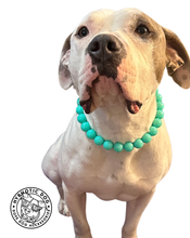 Load image into Gallery viewer, Neon Turquoise Acrylic Bead Collar
