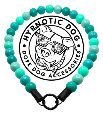 Aquamarine Acrylic Bead Collar