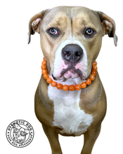 Load image into Gallery viewer, Orange Swirl Acrylic Bead Collar