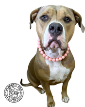 Load image into Gallery viewer, Peach Rain Acrylic Bead Collar