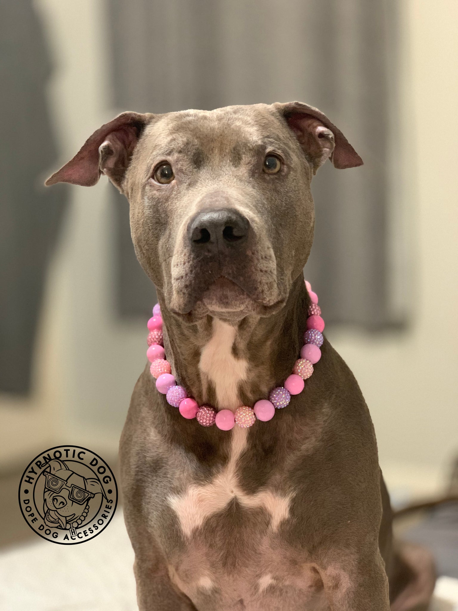 Duchess Glam Bead Collar – Hypnotic Dog