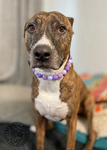 Purple Dream Bead Collar