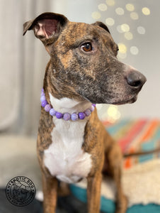 Purple Dream Bead Collar