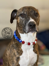 Load image into Gallery viewer, Red, White, &amp; Bling MINI [Small Dog/Cat Bead Collar]