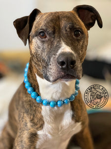 Rocket Blue [Scuffed] Acrylic Bead Collar