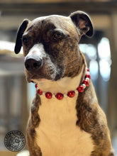 Load image into Gallery viewer, Santa Baby Bead Collar