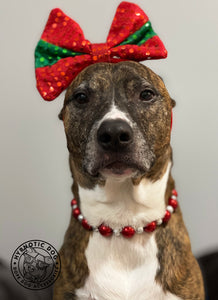 Santa Baby Bead Collar