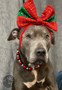 Santa Baby Bead Collar